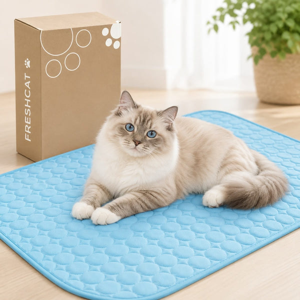Gatto sdraiato sul tappetino rinfrescante