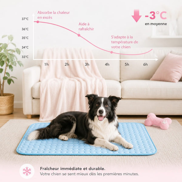 Tappetino rinfrescante per cani Fresh Dog