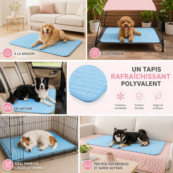 Tappetino rinfrescante Fresh Dog usato in auto e a casa